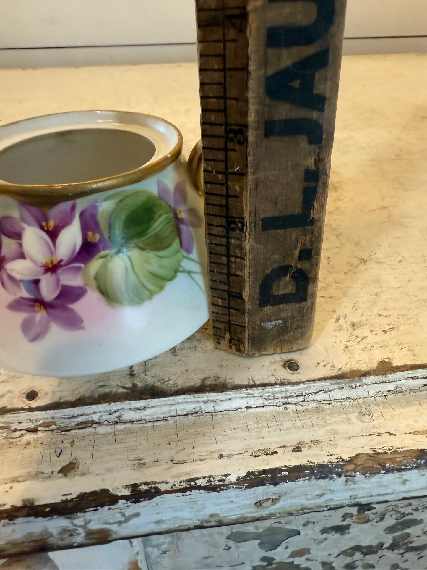 Vintage hand painted sugar dish with live succulent