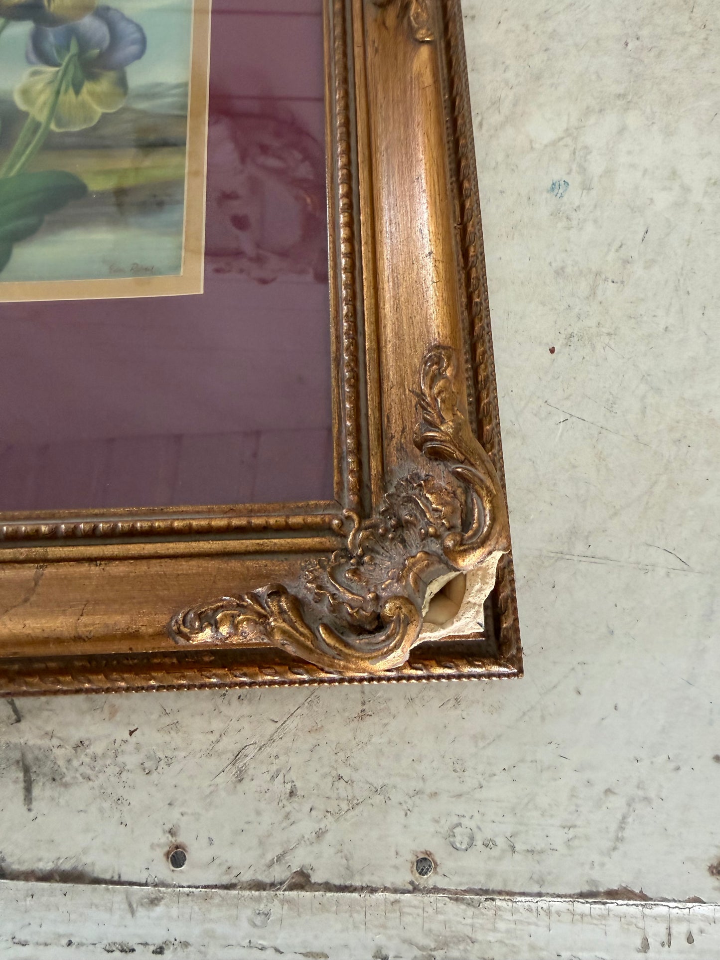 Vintage Pansy Print in Ornate Moulded Frame as is see photos
