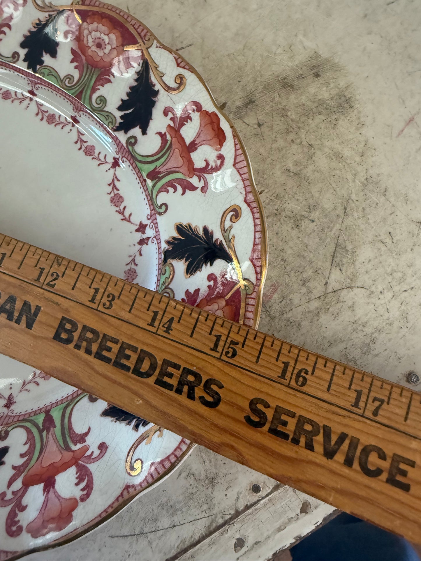 Antique Royal Semi Porcelain" from Wedgwood & Co. Ltd. The specific pattern is "Arabian." platter - as is see back