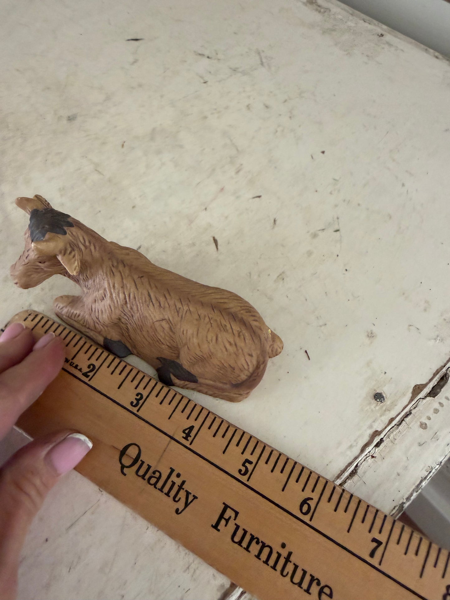 Christmas Nativity Cow