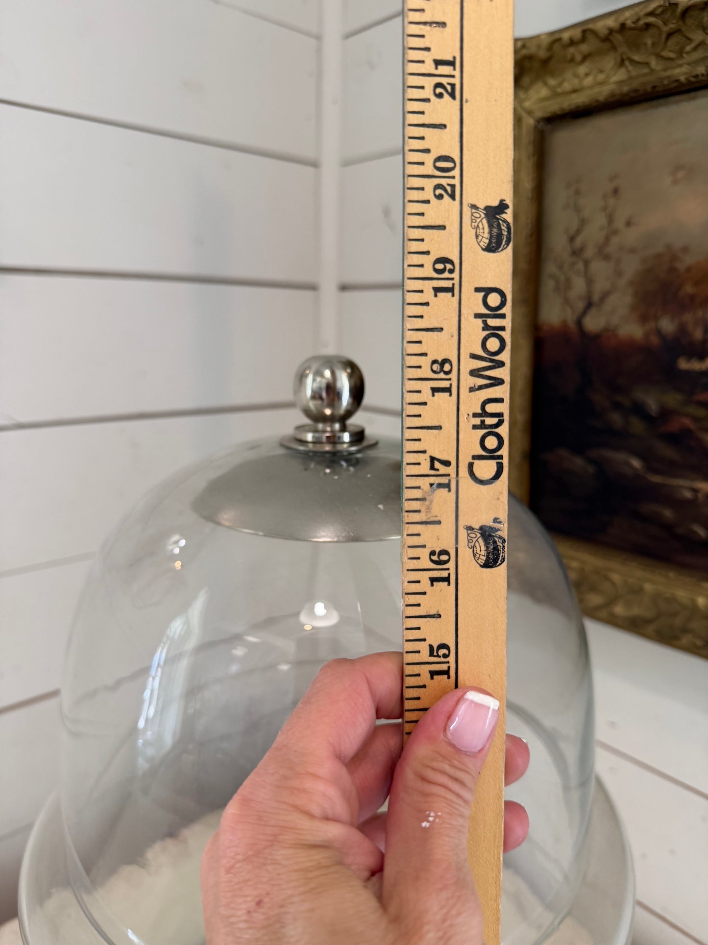 Heavy Nice Glass Bell Jar Plant Cloche Dome Cake 18” Tall