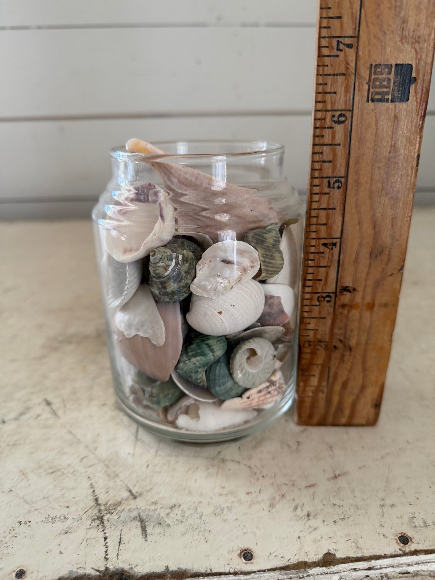 Glass Jar Filled With Seashells - No lid