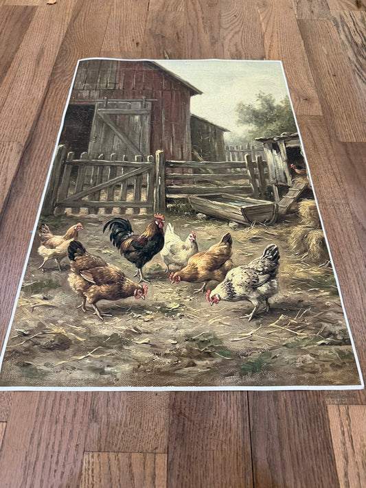 Chicken Yard | JRV Medium Rice Paper