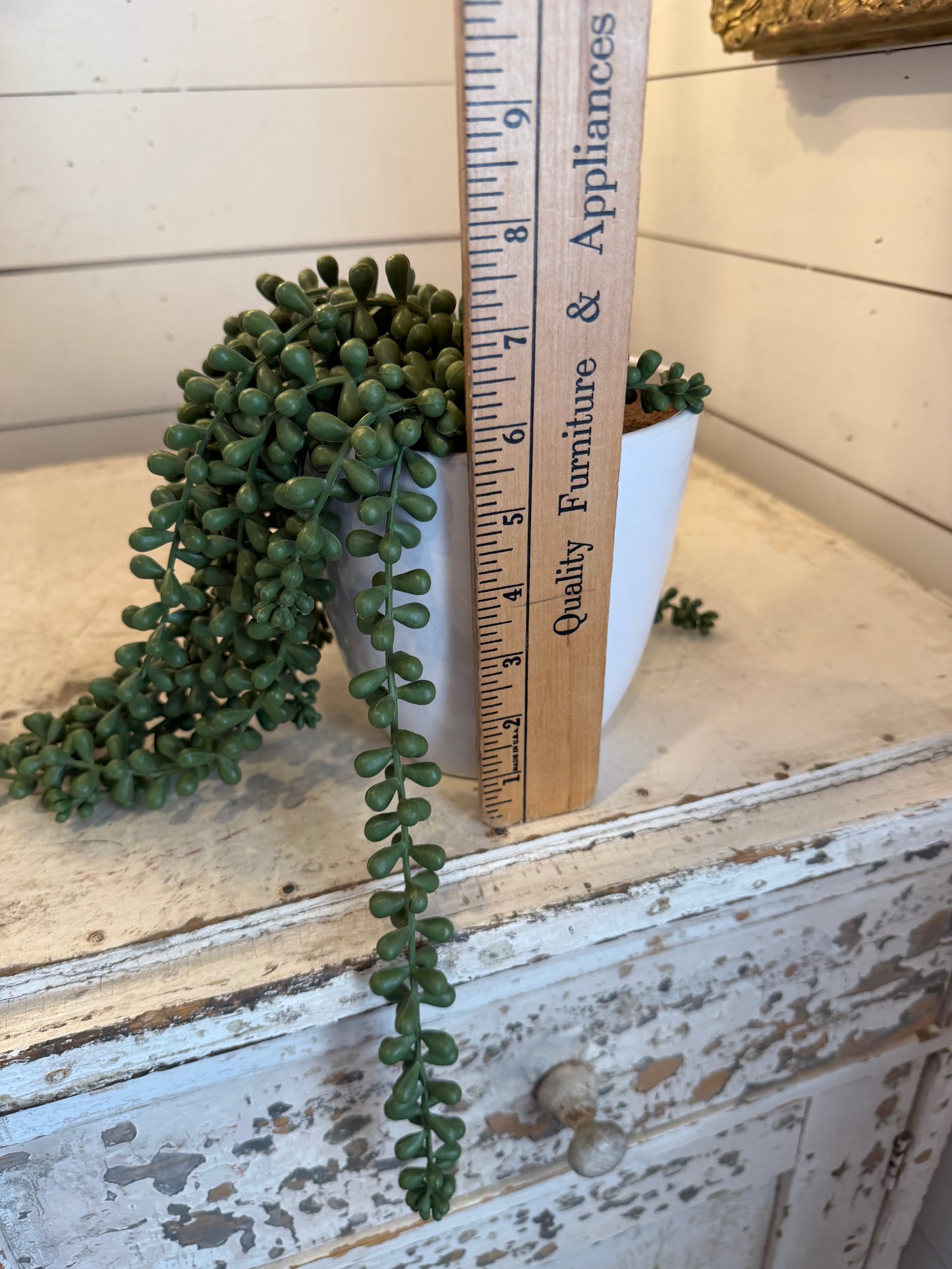 Faux String of Pearls Plant in Pot