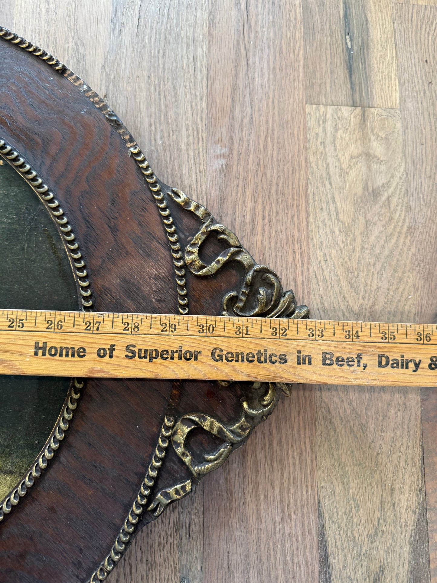 Gorgeous Antique Print Still Life Fruit with Oval Wood Frame