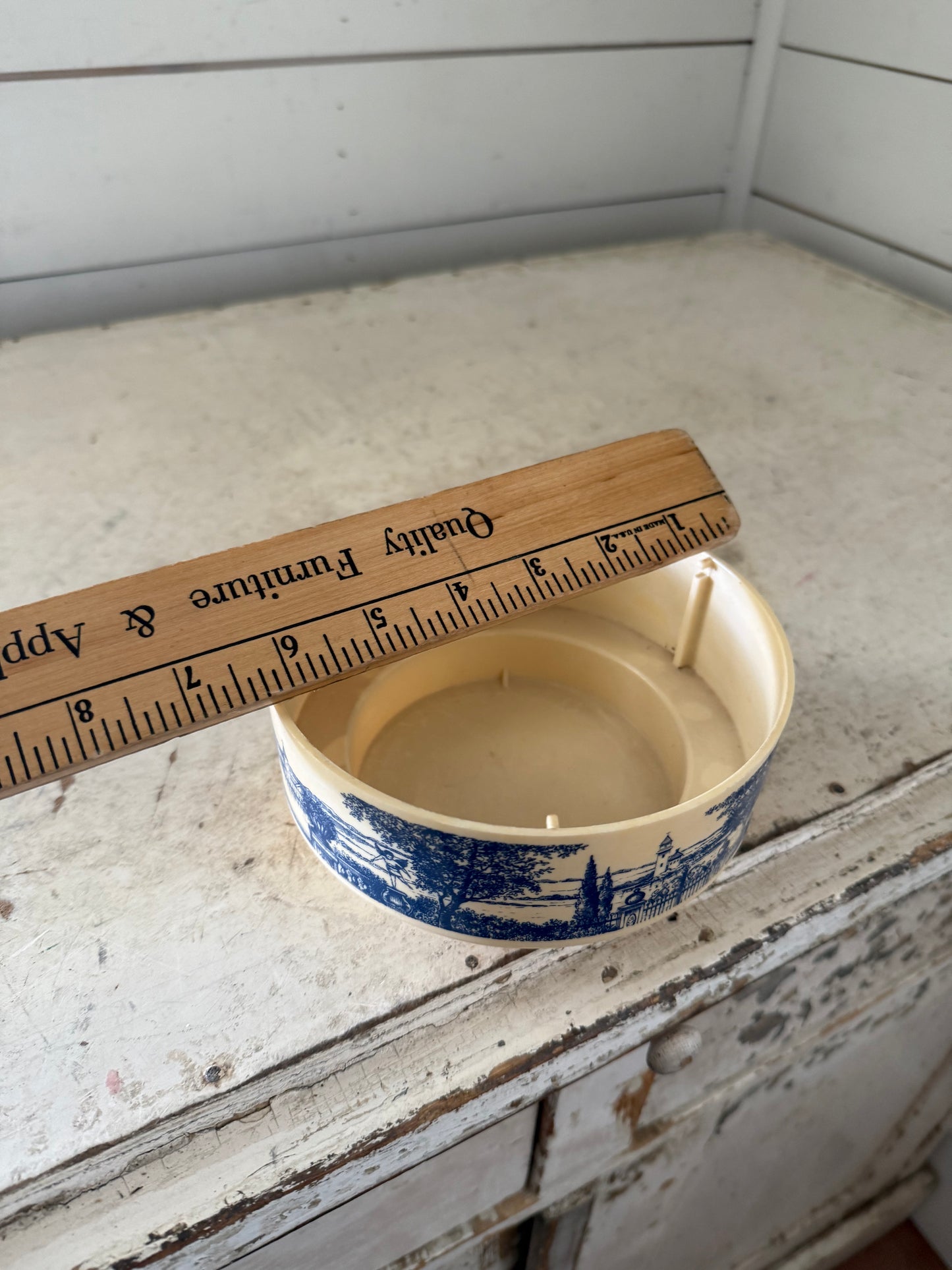 Blue and White Plastic Bowl