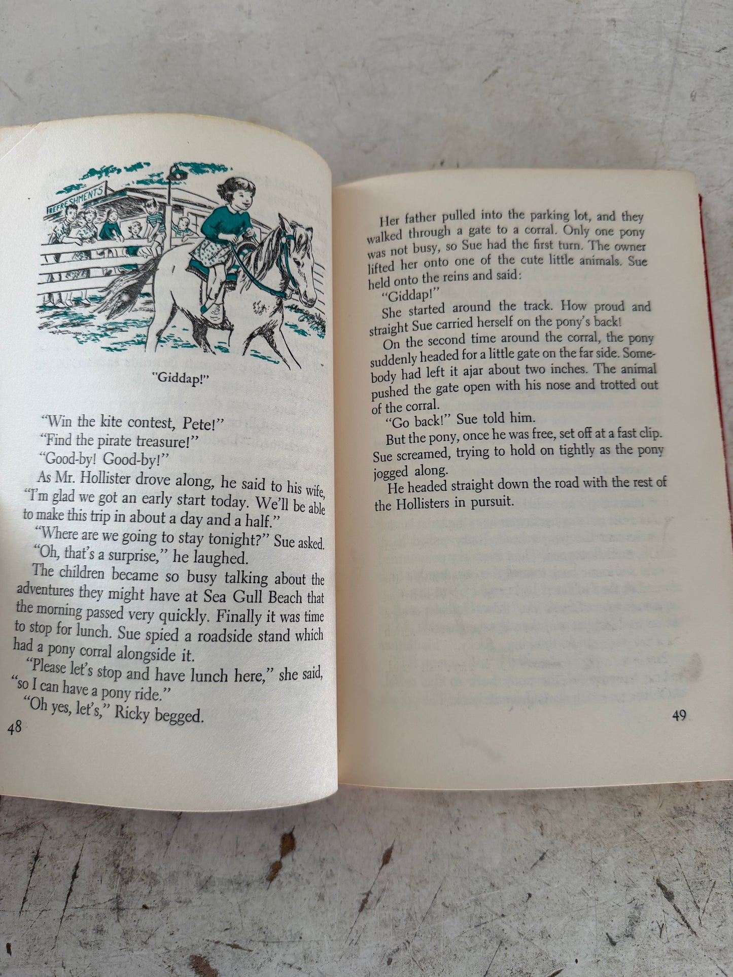 The happy Hollister’s at Seagull Beach Book