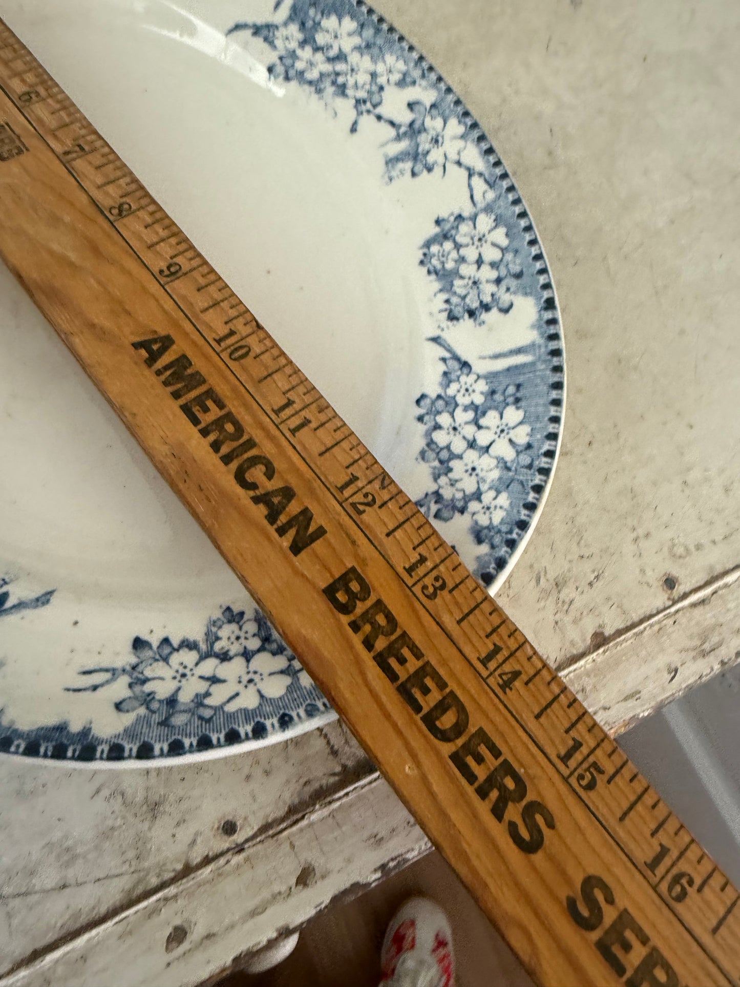 Antique Scottish Blue and White Platter