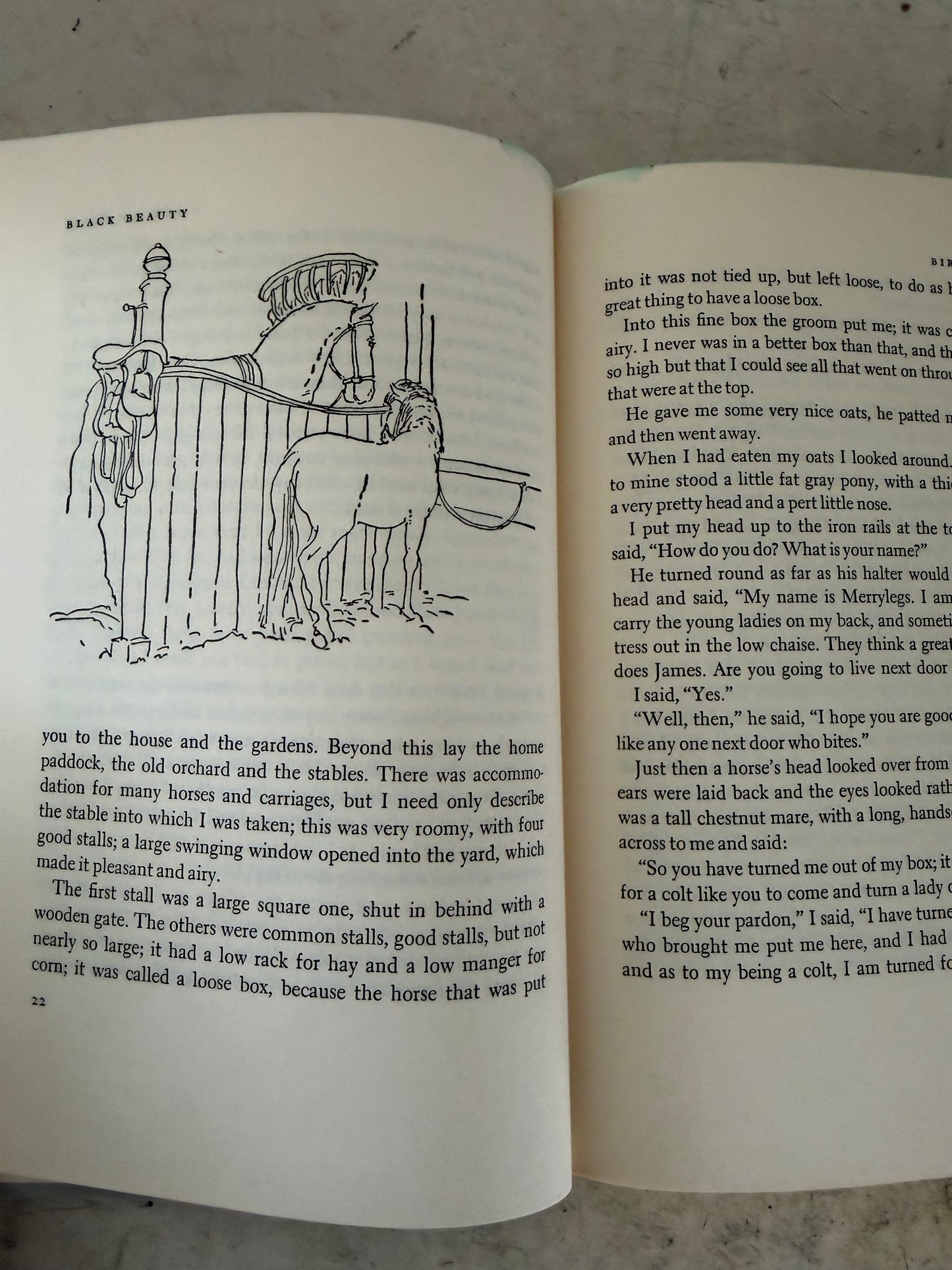 Black Beauty by Anna Sewell Book