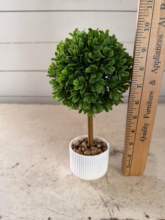 Topiary with White Ribbed Planter