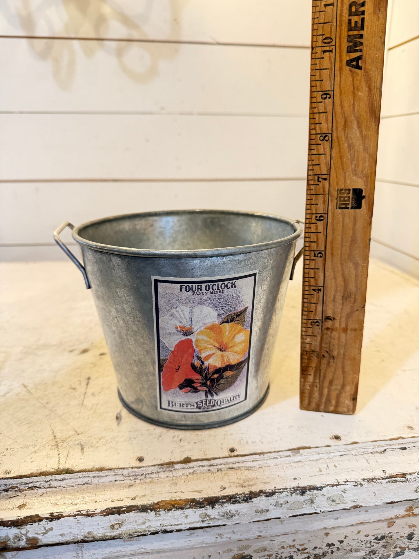 Galvanized Bucket With Garden Labels - Sold Individually