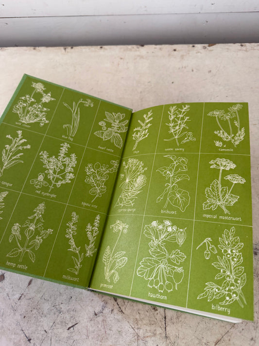 The Herb Book by John B. Lust