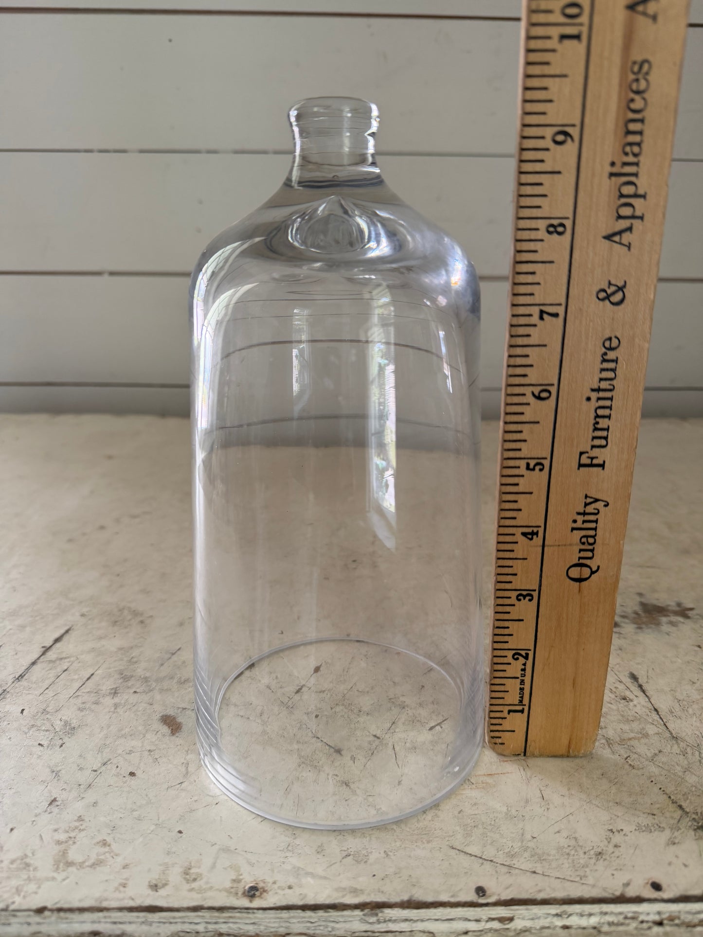 Glass Cloche