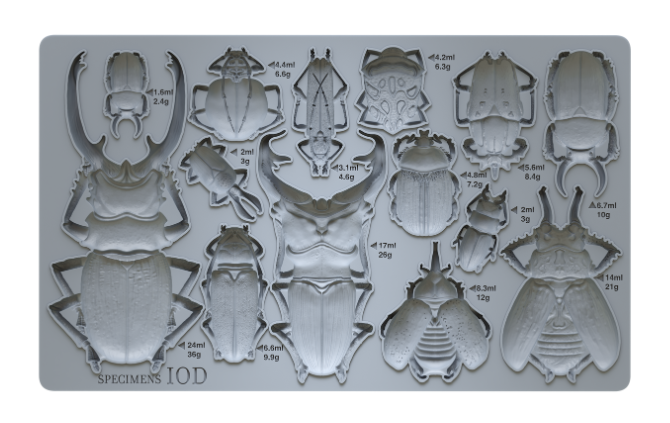 Iron Orchid Designs Specimens | IOD Mould