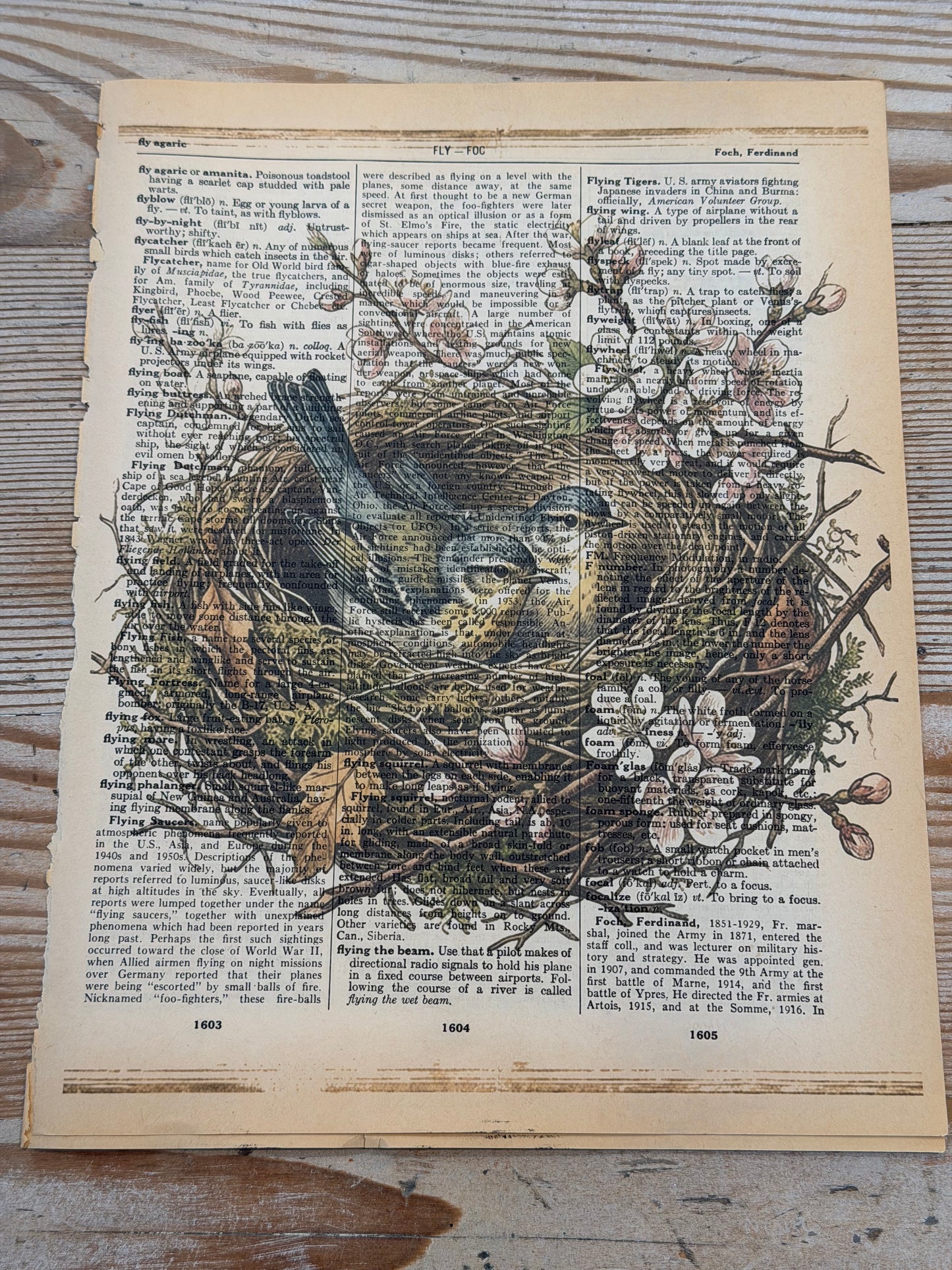 Bird in Nest Printed on Old Dictionary Pages