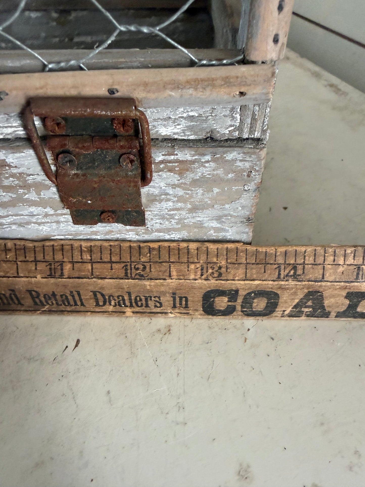 Chicken wire cage