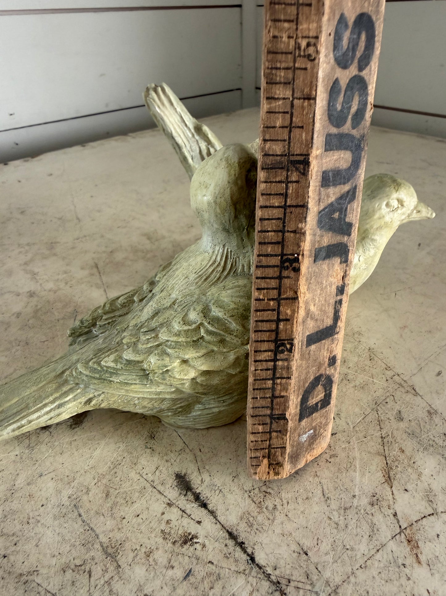 Set of birds will get makeover