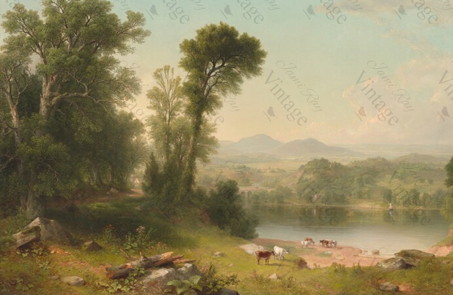 Cows In Pasture | JRV Medium Rice Paper