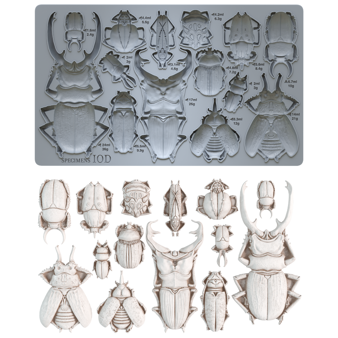 Iron Orchid Designs Specimens | IOD Mould