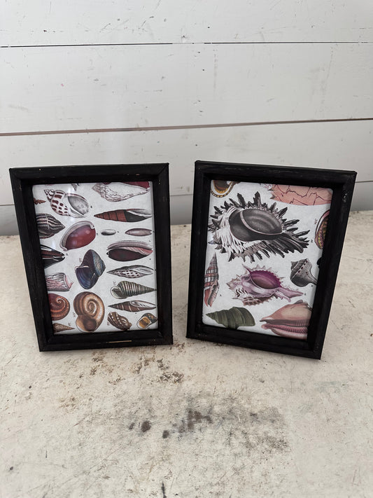 Painted Wood Frames With Seashell Art