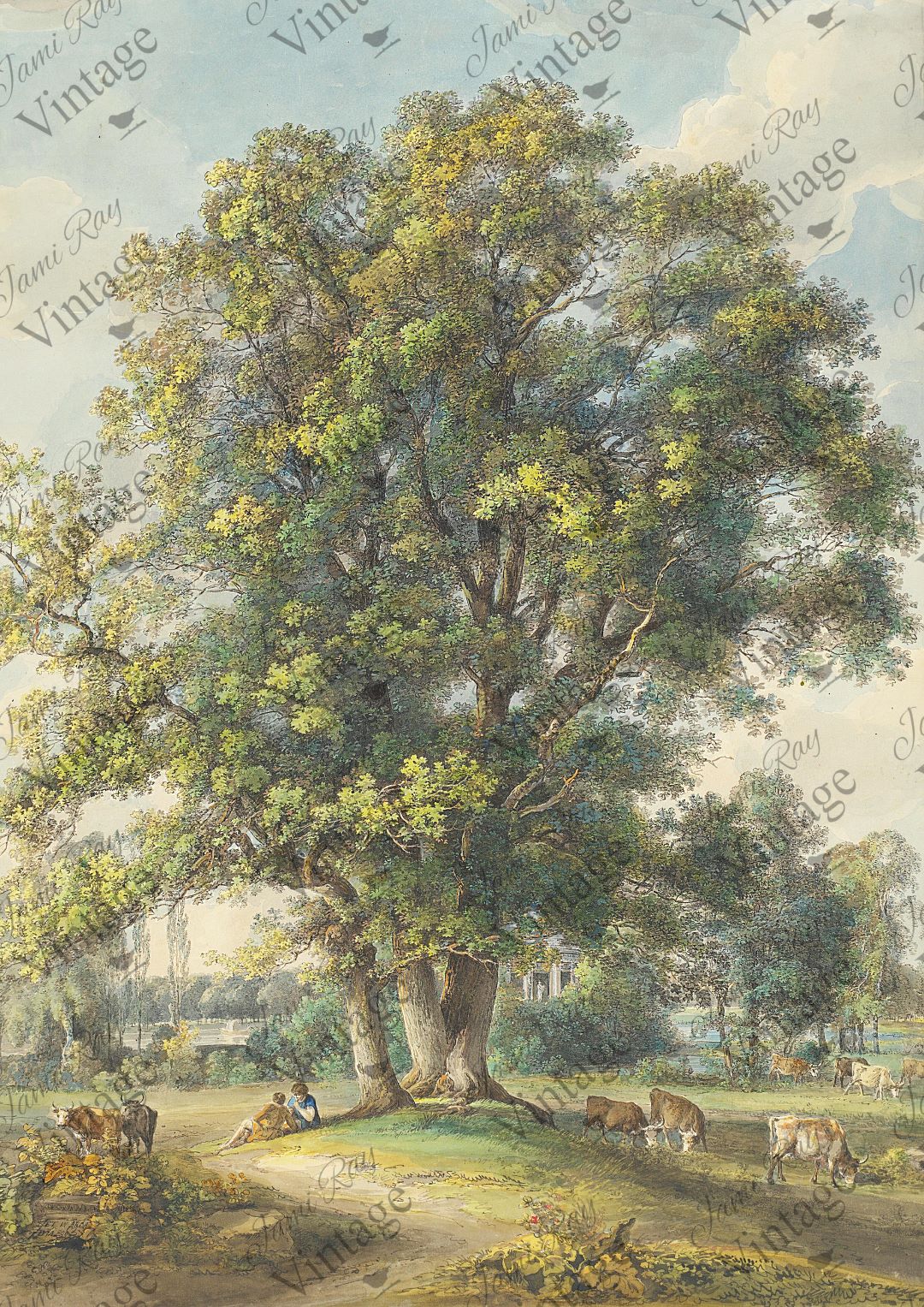 Cows Under A Tree | JRV Rice Paper | A4