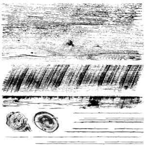 Barnwood Planks | Stamp | IOD Iron Orchid Designs