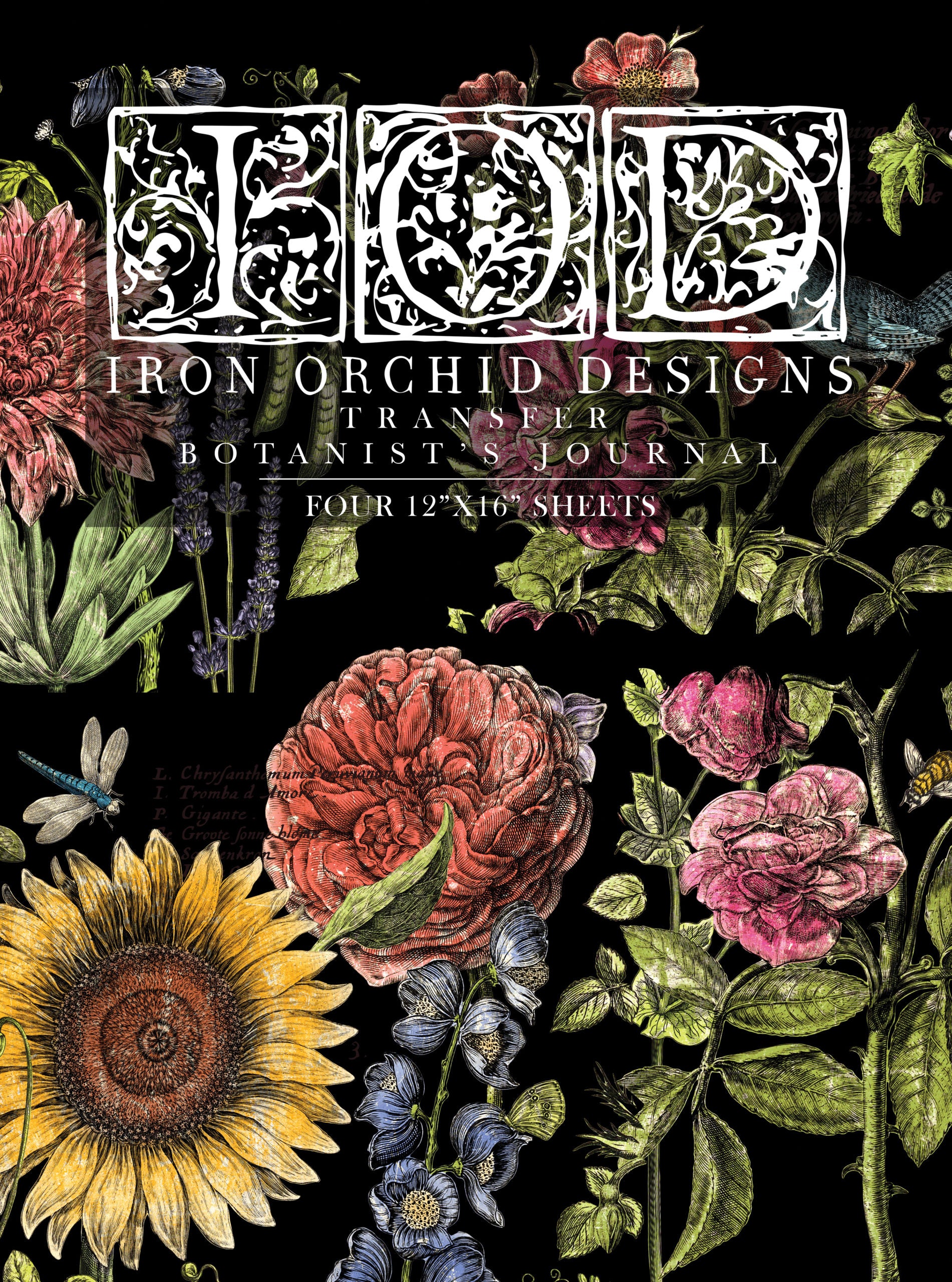 Flora Parisiensis Decor Transfer Iron Orchid Designs