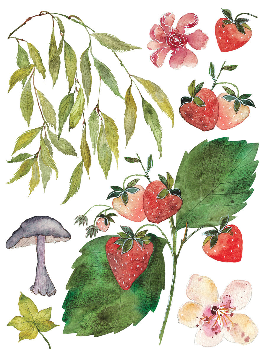 Whispering Willow | Transfer | IOD Iron Orchid Designs