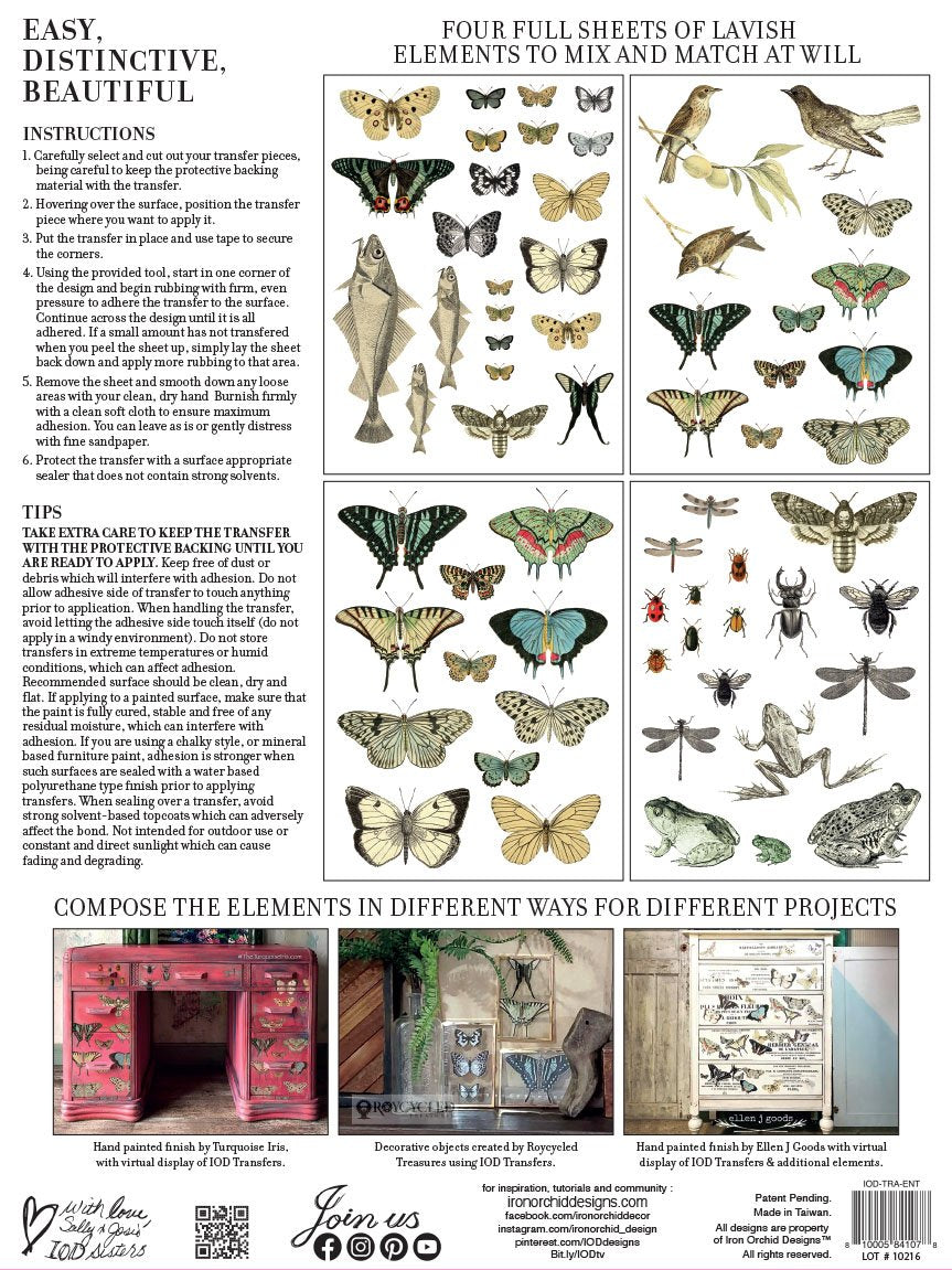 Entomology | Transfer | IOD Iron Orchid Designs