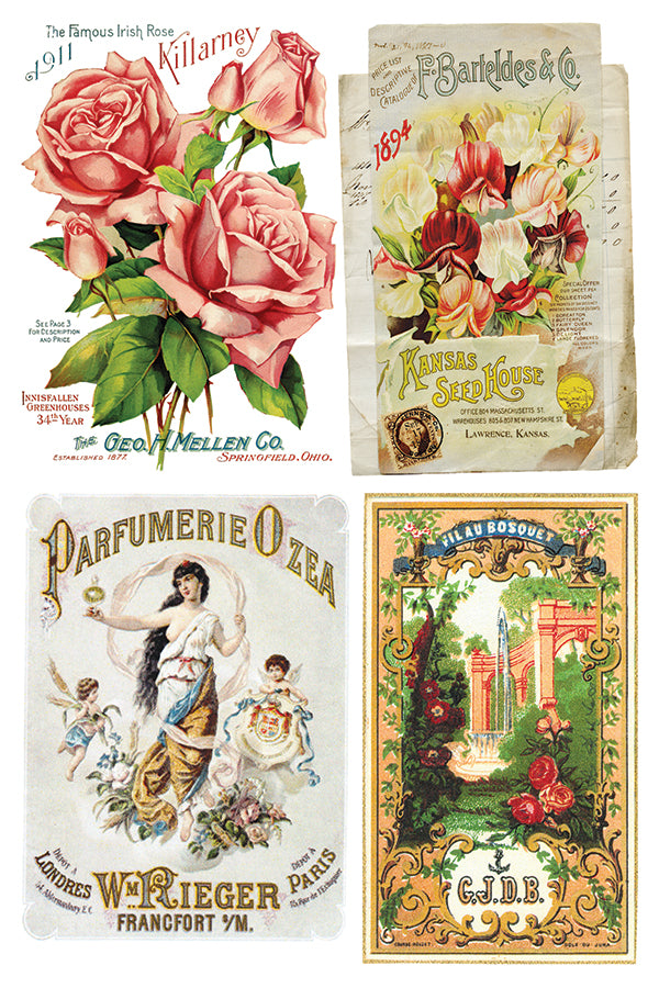 Ephemeral Melange | Transfer | IOD Iron Orchid Designs