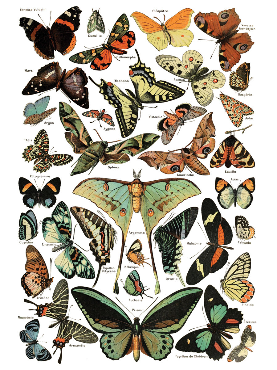 Millot's Pages | Transfer | IOD Iron Orchid Designs by