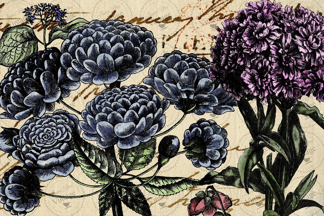 Pétales | JRV Large Paper