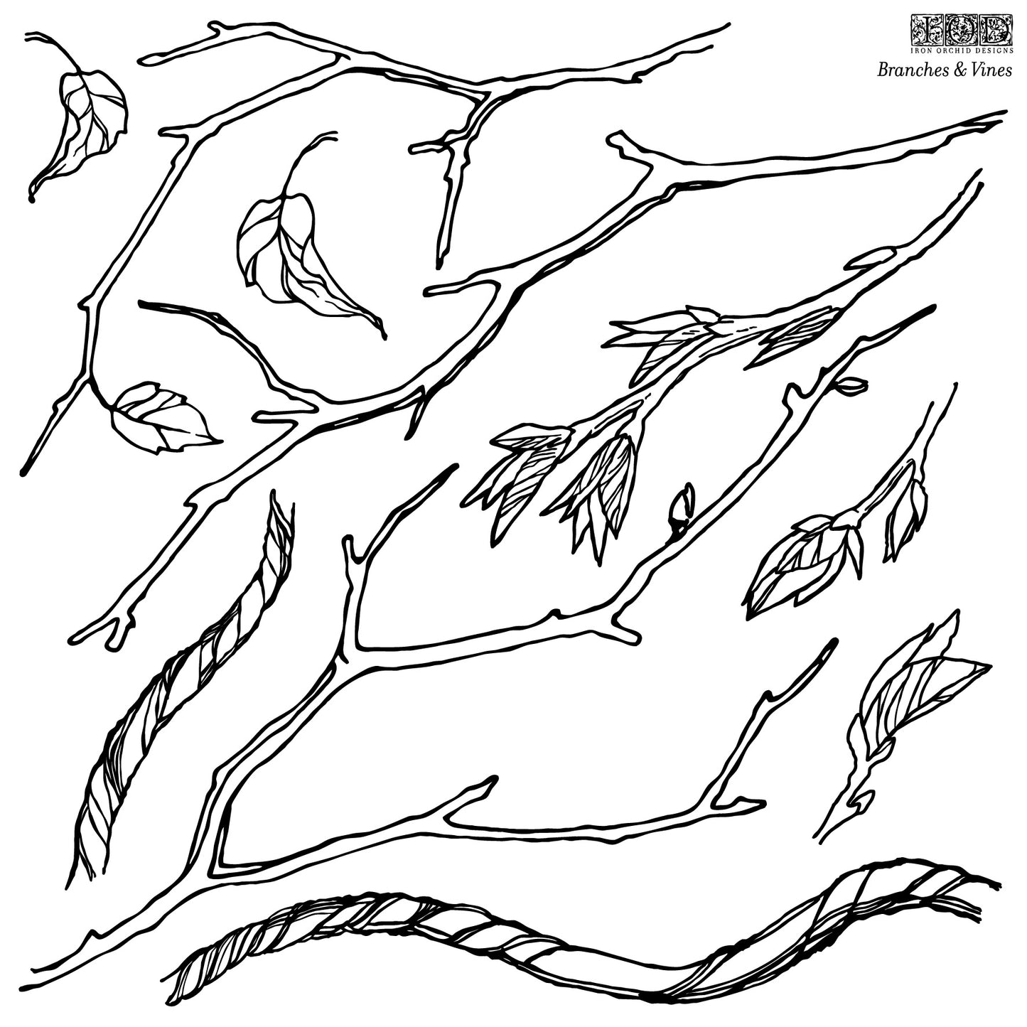 Branches & Vines | Stamp | Discontinued IOD Iron Orchids Designs