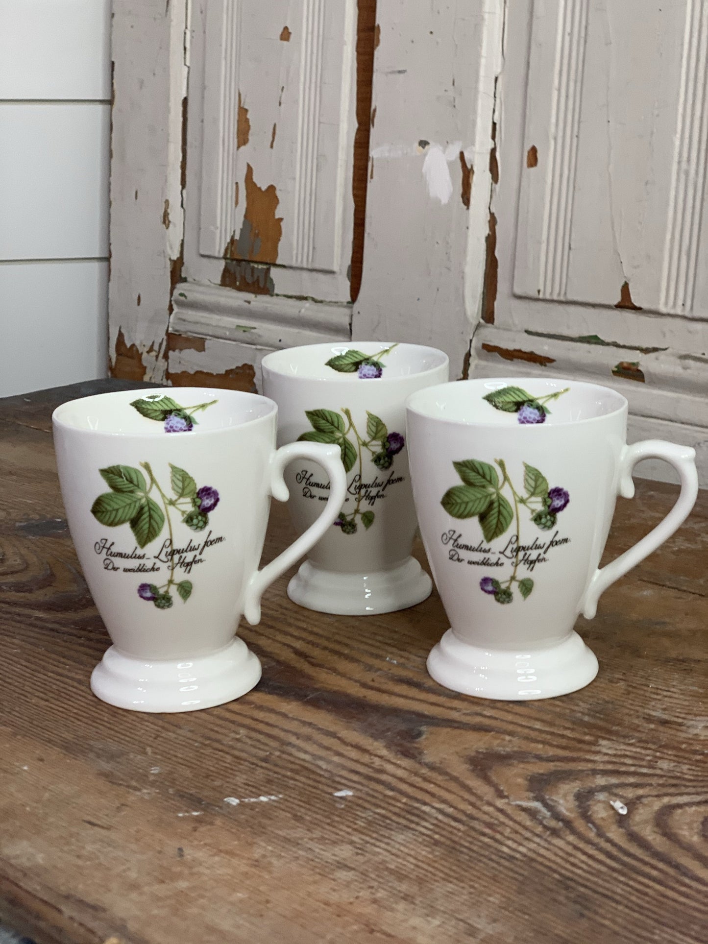 German Set of 3 HUMULUS-LUPULUS Botanical Purple Green Berries Clusters Pedestal Mugs