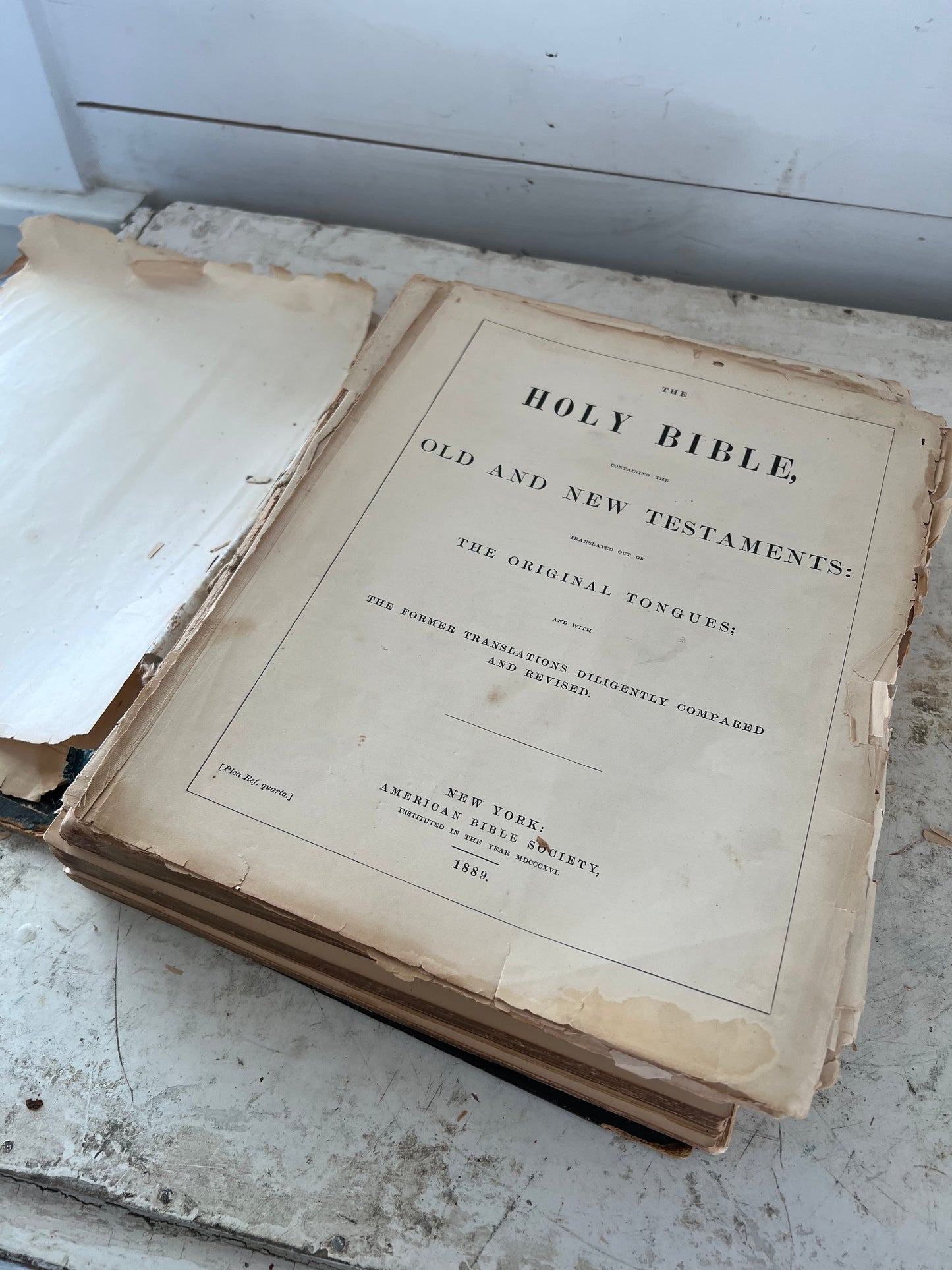 1889 Bible Pages - 5 pages