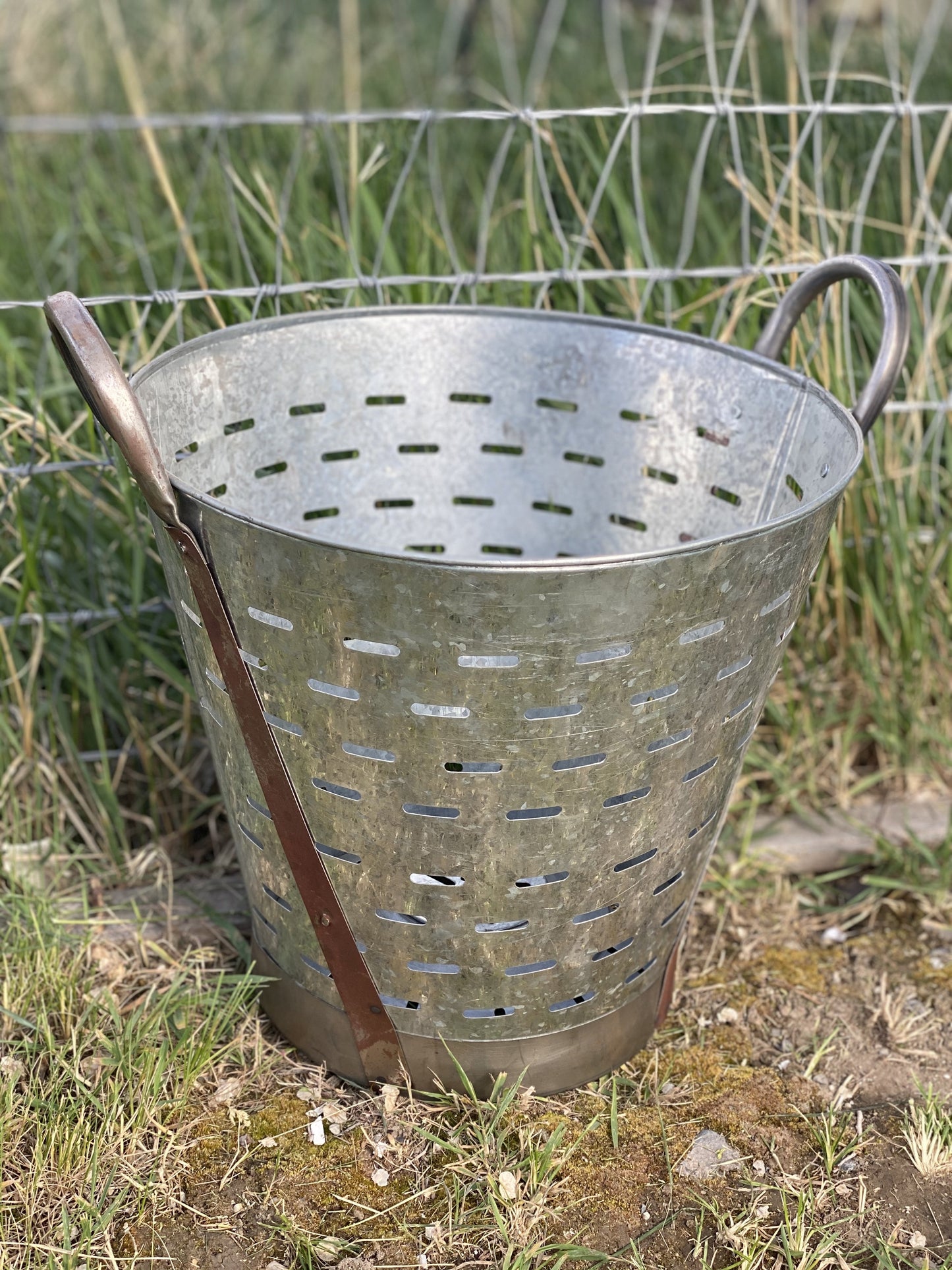 Olive Bucket