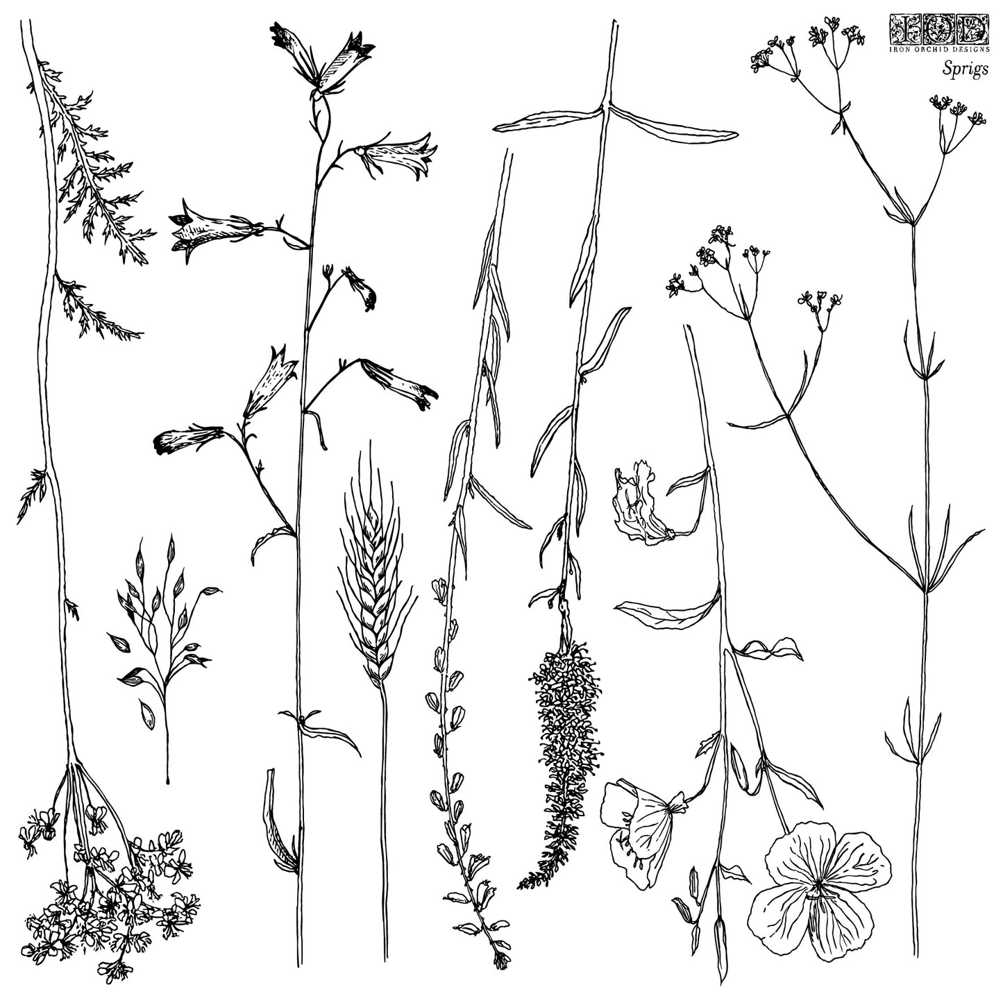 Sprigs | Stamp | IOD Iron Orchids Designs