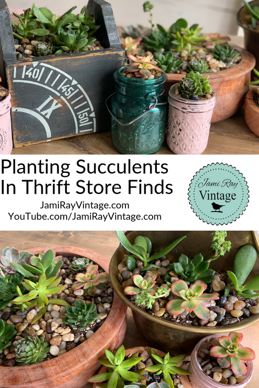 Planting Succulents In Thrift Store Finds