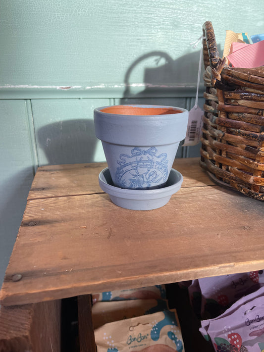 Mini Terracotta Pot with saucer sold individually will get makeover