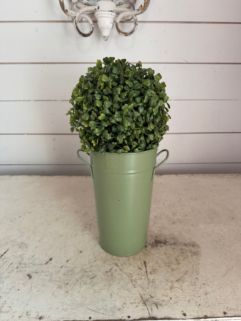Artificial boxwood topiary in painted metal flower bucket