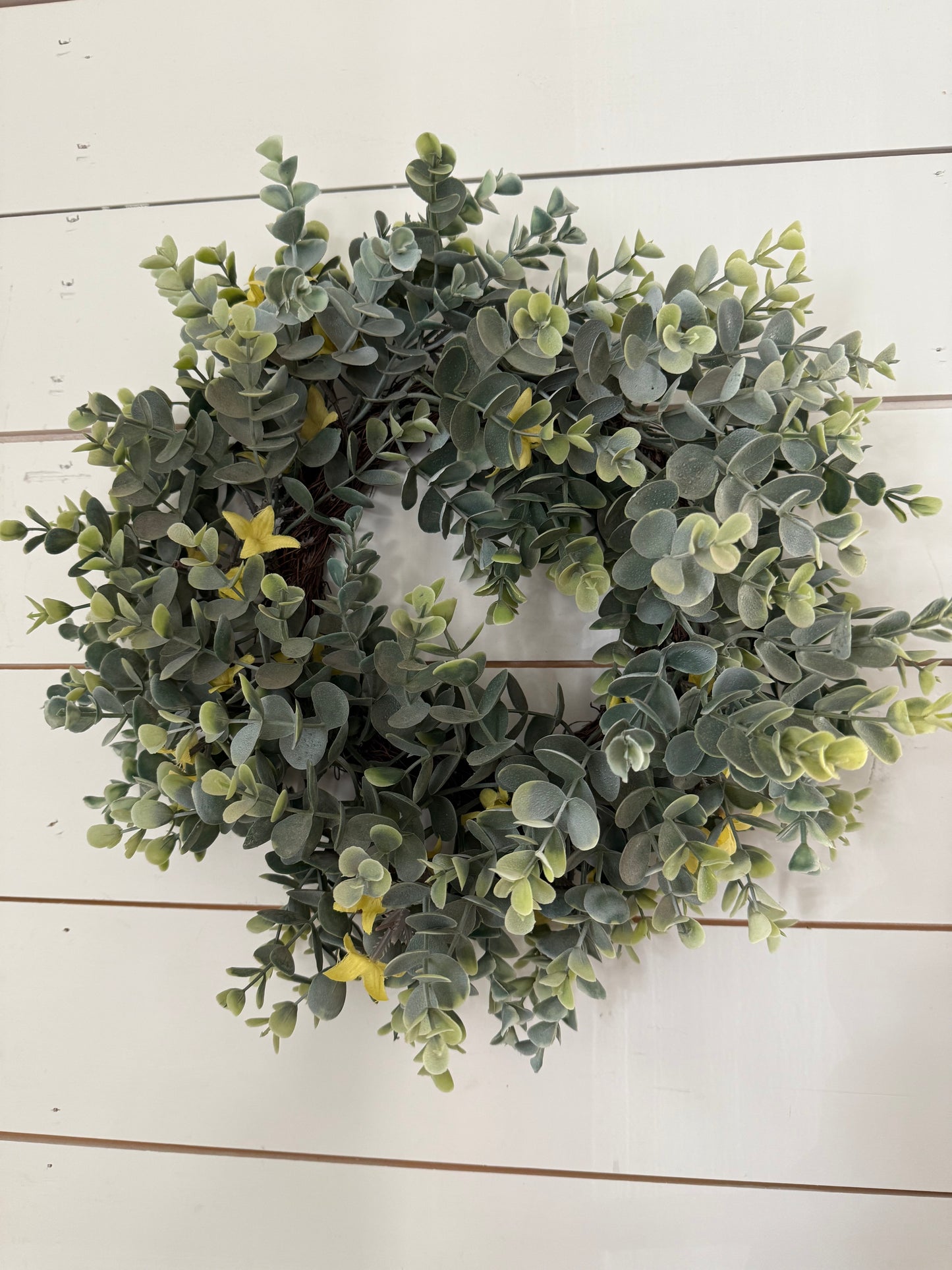 13” Eucalyptus Wreath