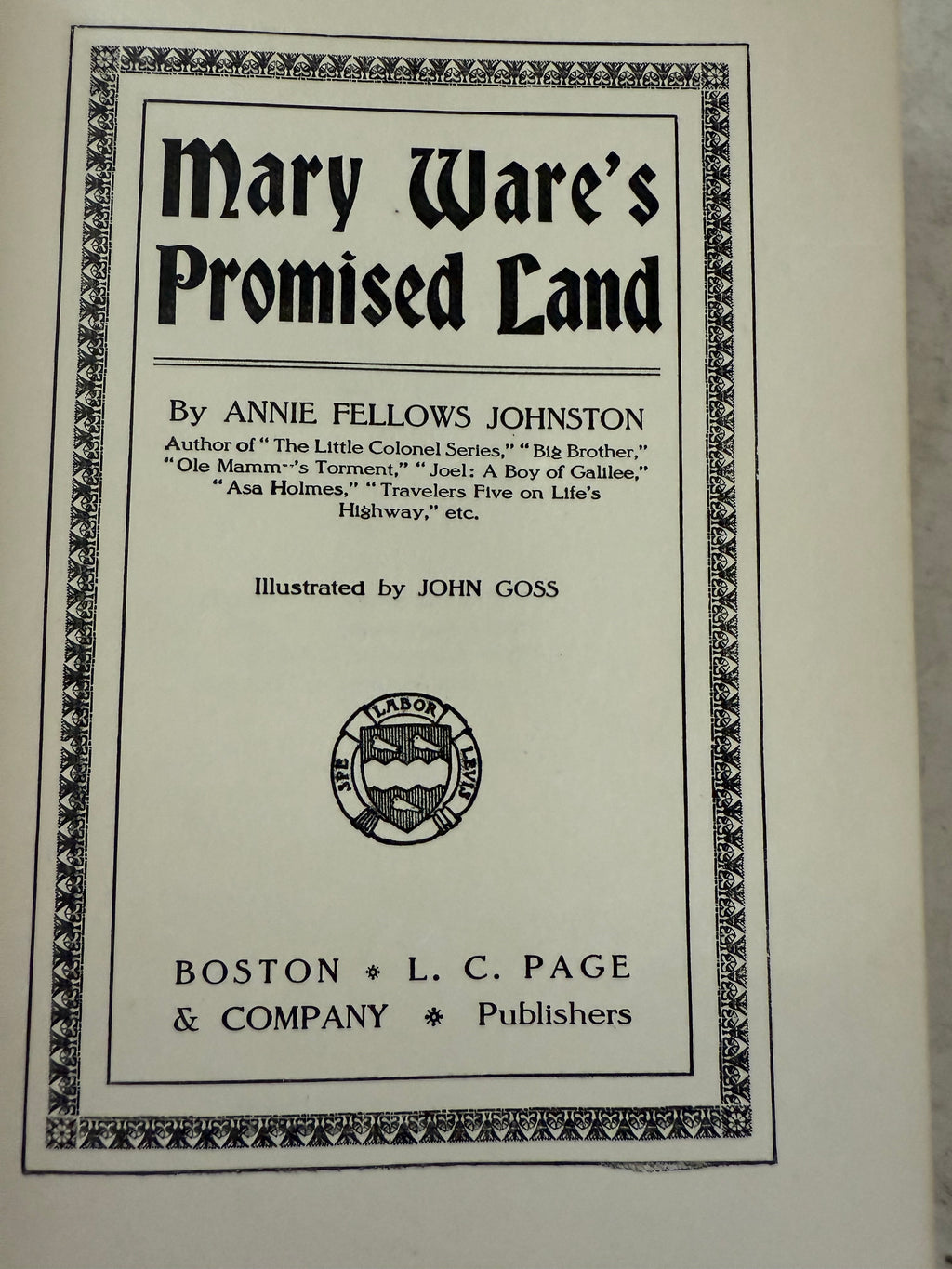 Mary Wares:  promised land Book