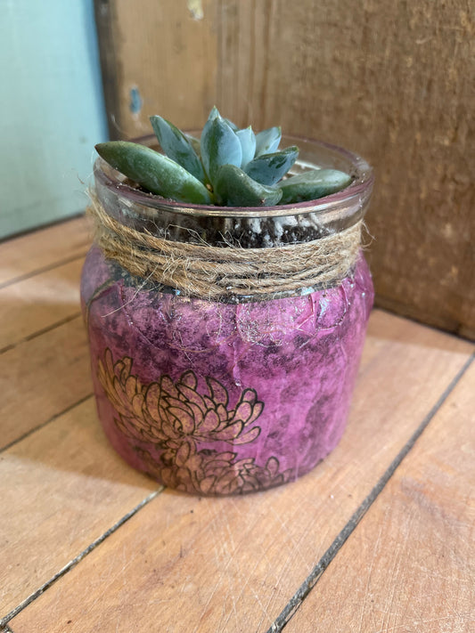 Planted Succulent in pink decoupage glass vessel