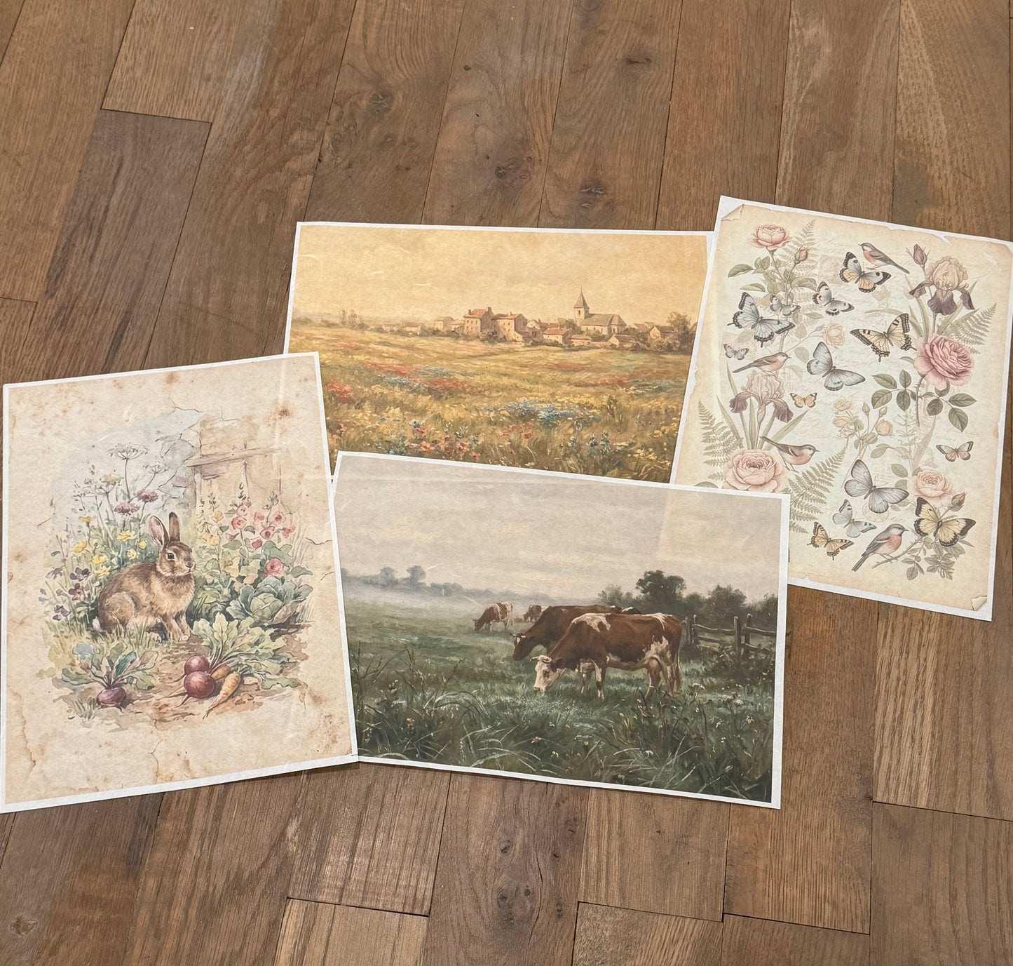 JRV Paper Subscription | Sign Up by 01/12/26 To Get January 2026 Papers