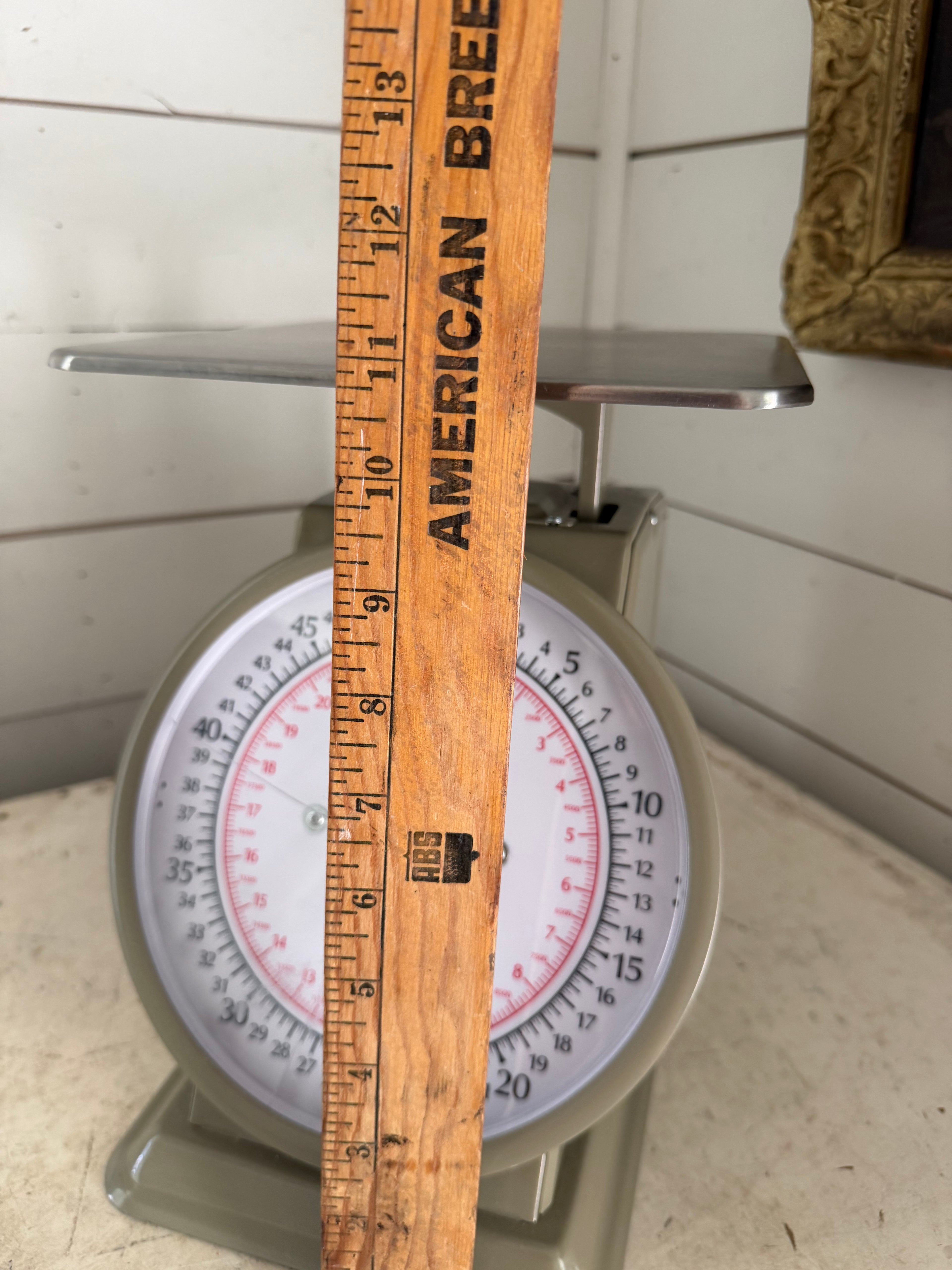 Winco 50lb scale sold as is - has crack in plastic face