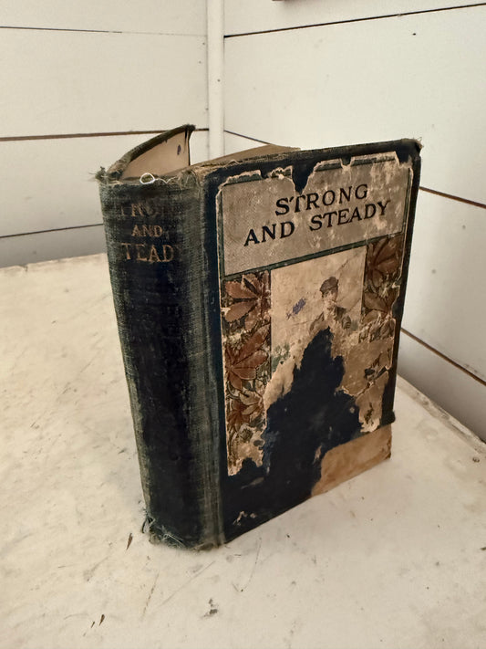 Strong and Steady By Alger Jr., Horatio