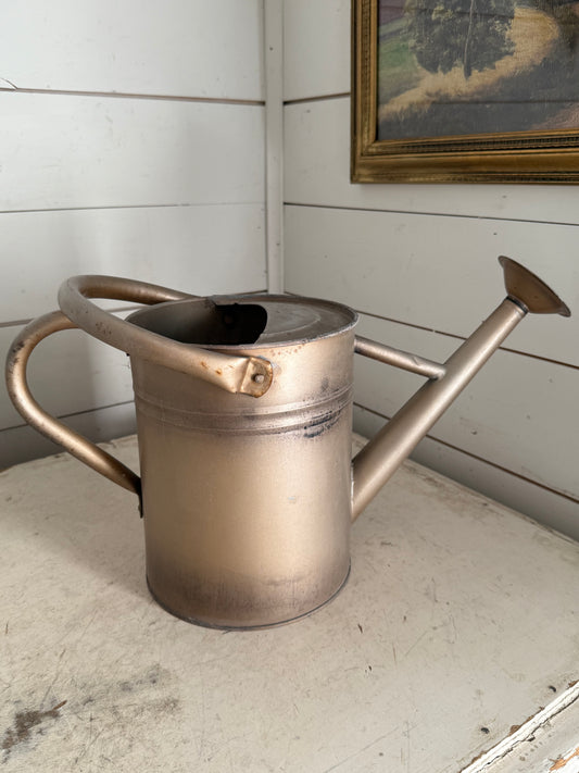 Metal watering can will get makeover