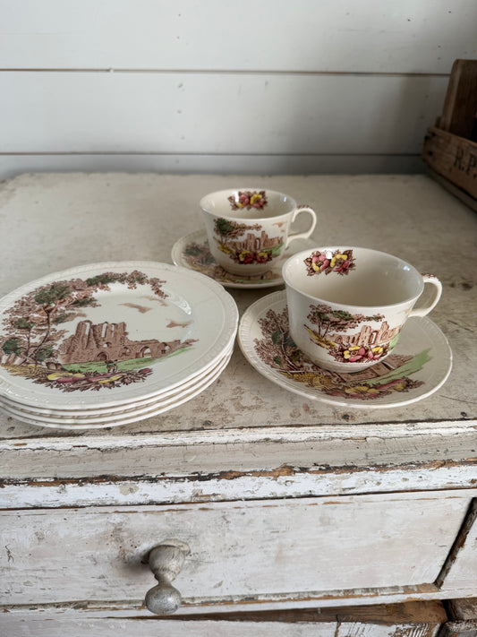 Vintage Royal Tudor Ware Olde Abbey Teacup & Saucer & small plates sold individually
