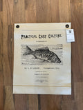 Canvas Wall Art Eye Practical Carp