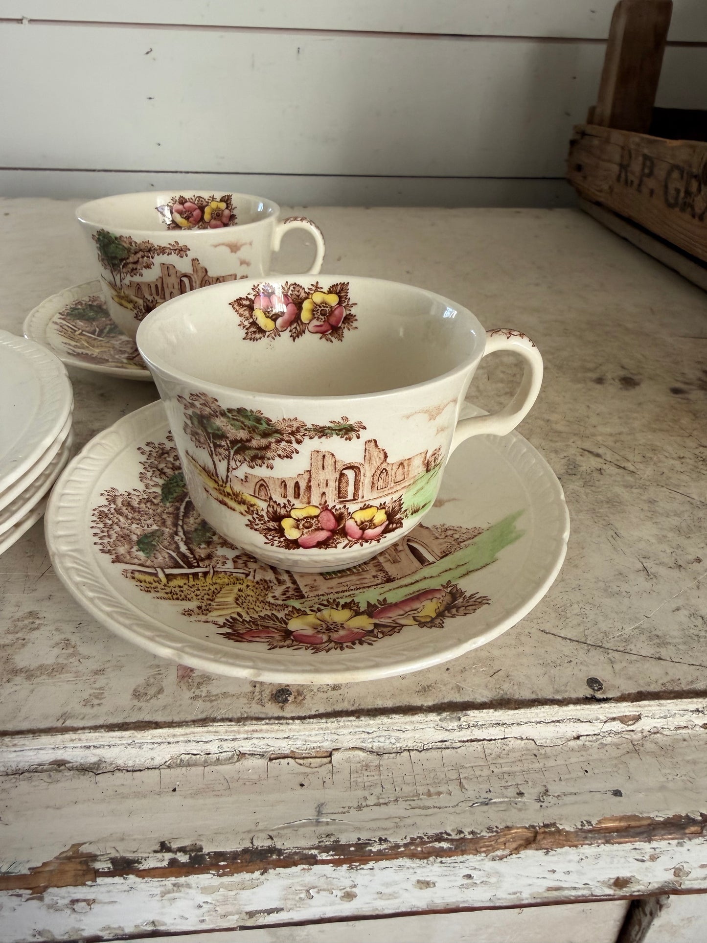 Vintage Royal Tudor Ware Olde Abbey Teacup & Saucer & small plates sold individually